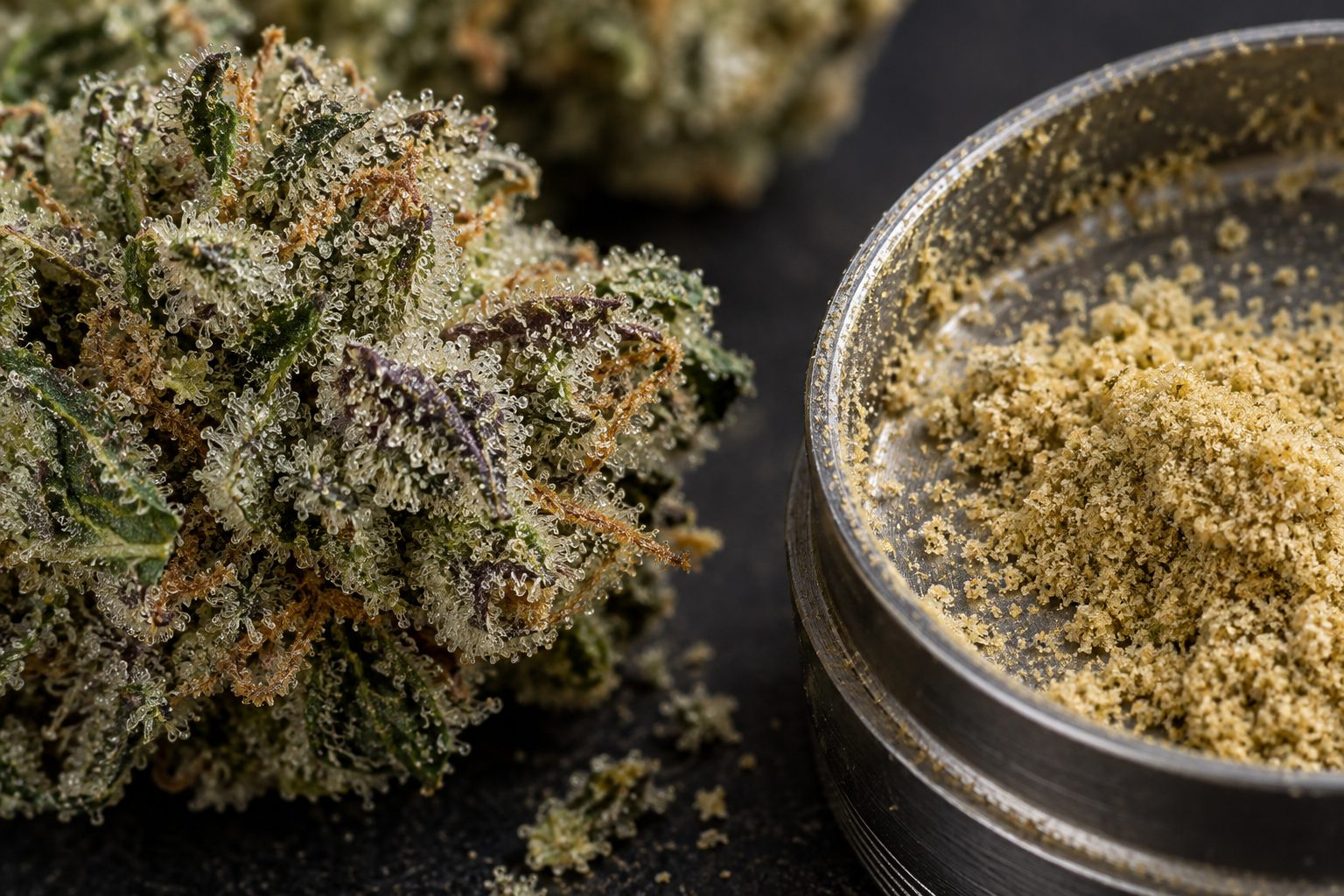 Detalle macro de tricomas y kief dorado en una bandeja metálica